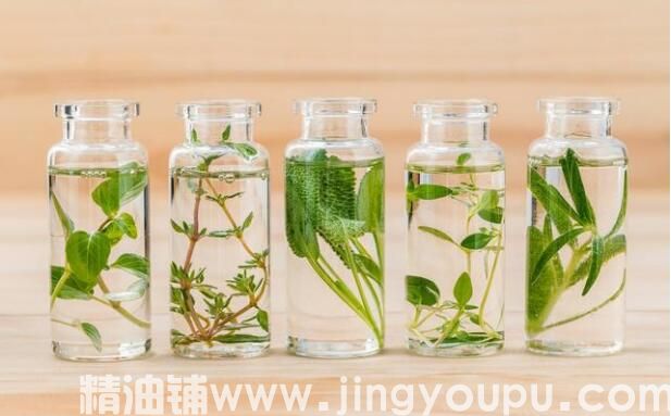 植物精油.jpg